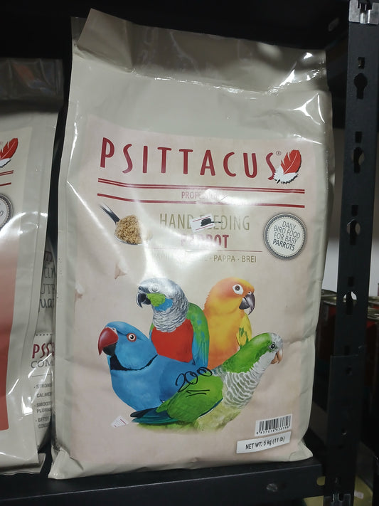 דיסה 5 קיג של חברת פסטאקוס